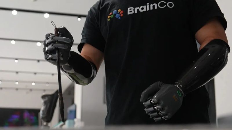 大数据分析方法解析：价格与培训的考量因素